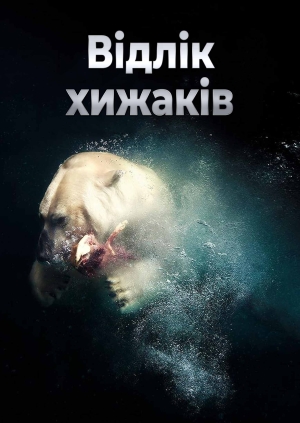 3 випуск
