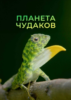 5 выпуск