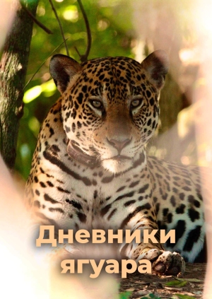2 выпуск