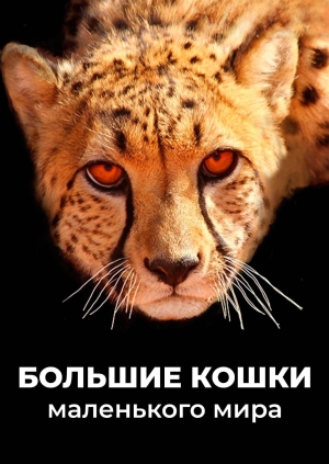2 выпуск