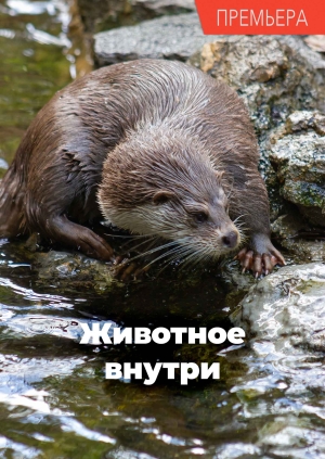 1 выпуск. 2 сезон