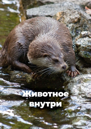 2 выпуск