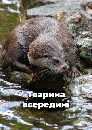 2 випуск