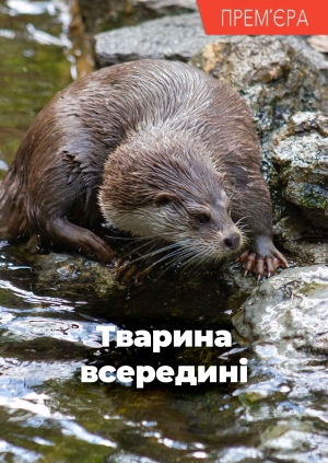 1 випуск. 2 сезон