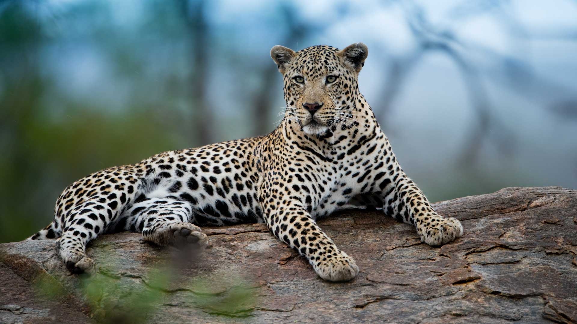 1 выпуск. 2 сезон