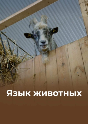 1 выпуск