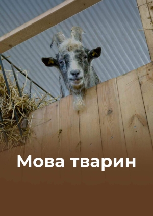 3 випуск