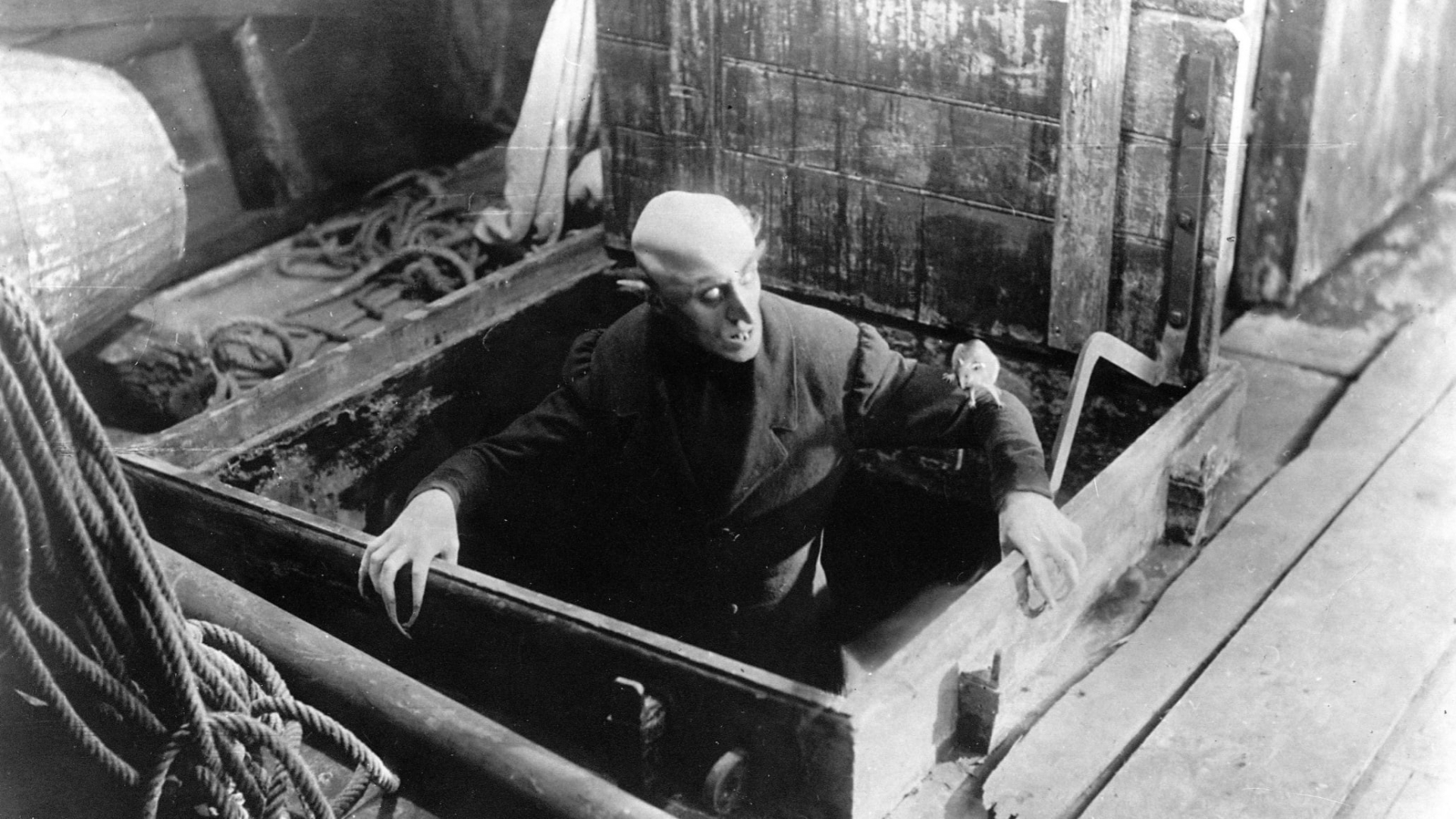 Nosferatu, eine Symphonie des Grauens (Nosferatu, eine Symphonie des Grauens)