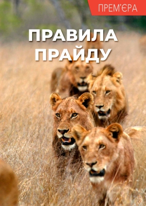 1 випуск