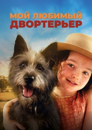 Мой любимый двортерьер