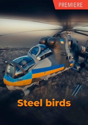 Steel birds