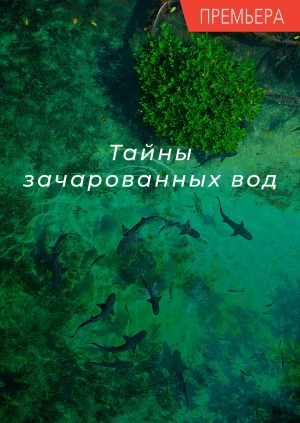 6 выпуск