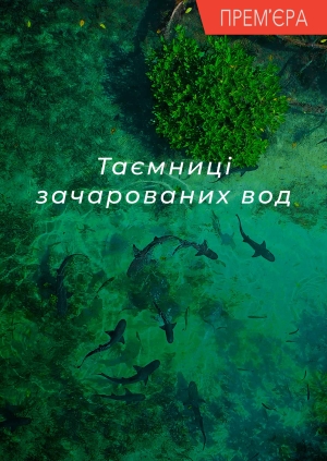 6 випуск