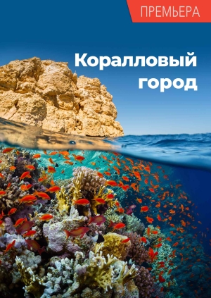 3 выпуск