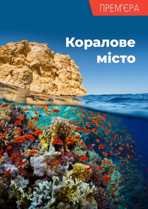 3 випуск