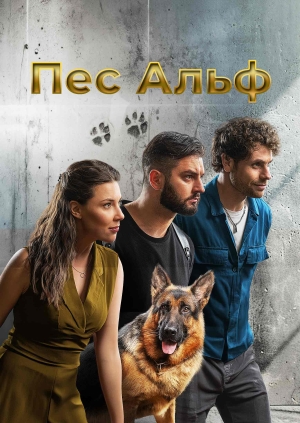 1-2 серии