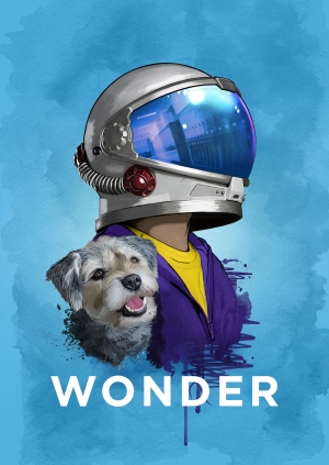 Wonder