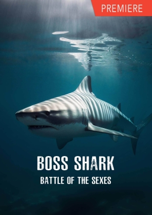 Boss Shark: Battle of the Sexes