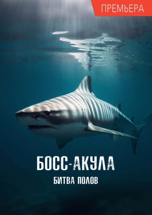Босс-акула: Битва полов