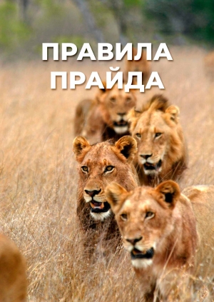 5 выпуск