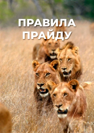 5 випуск