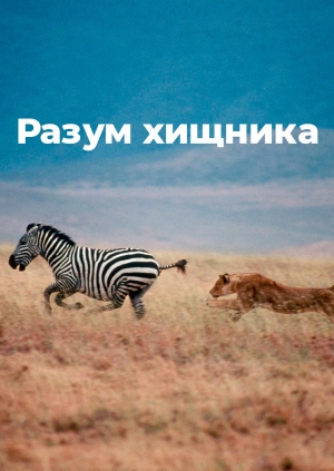 4 выпуск