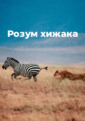 4 випуск