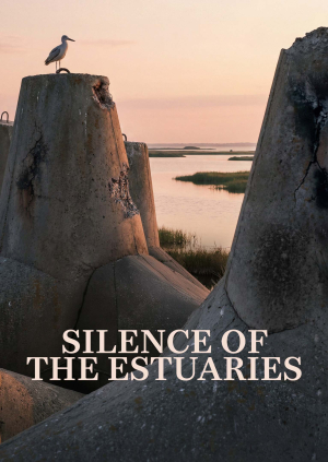 Silence of the Estuaries