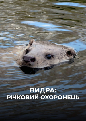 Видра: річковий охоронець