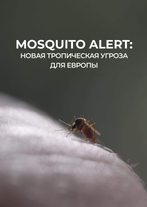 Mosquito Alert: новая тропическая угроза для Европы