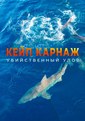 8 выпуск