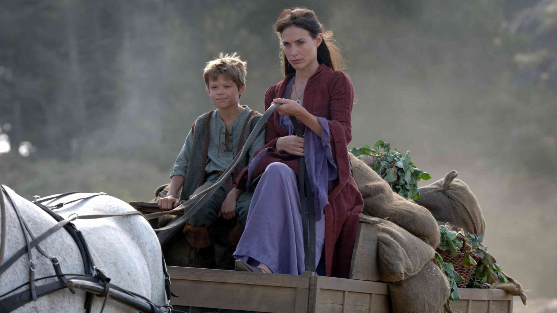 В ім'я короля: Історія облоги підземелля (In the Name of the King: A Dungeon Siege Tale)