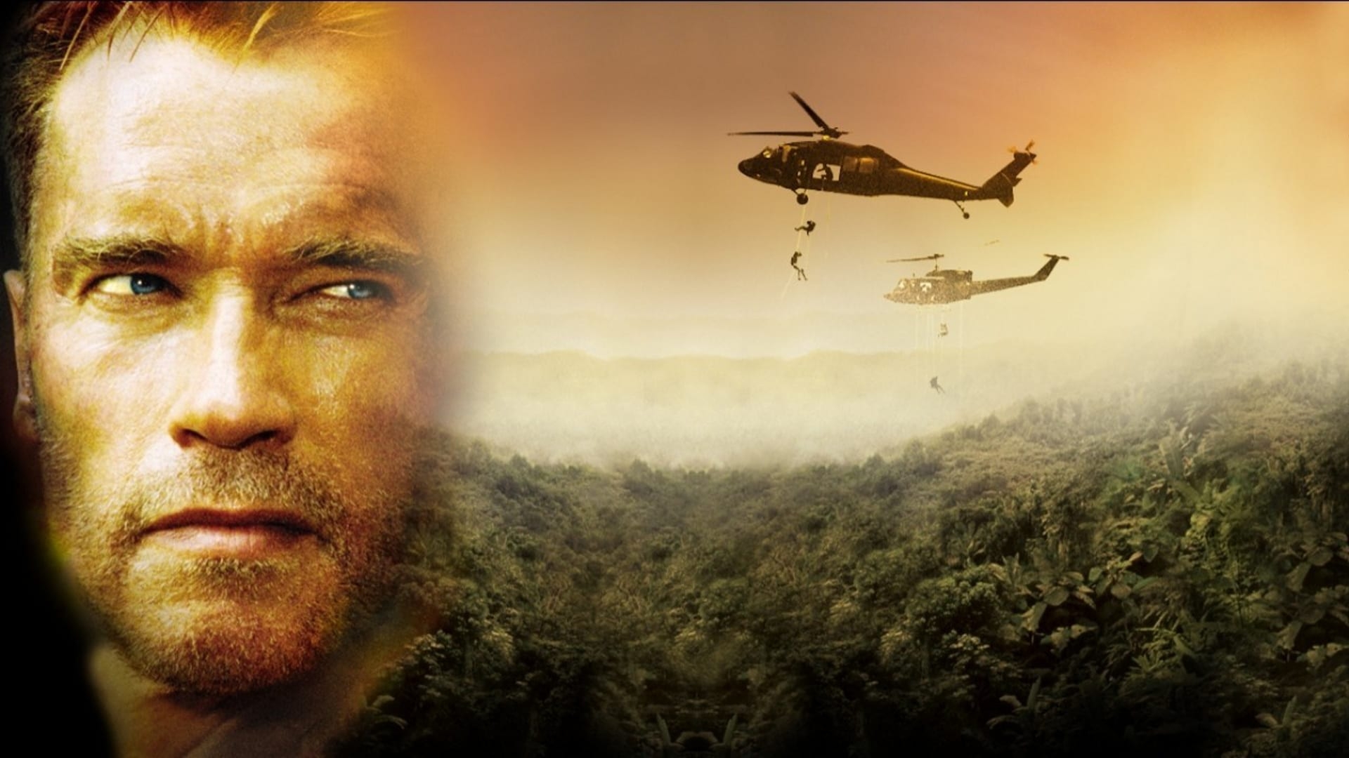 Відшкодування втрати (Collateral Damage)