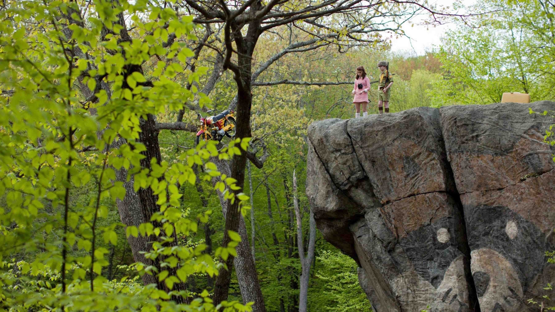 Moonrise Kingdom (Moonrise Kingdom)