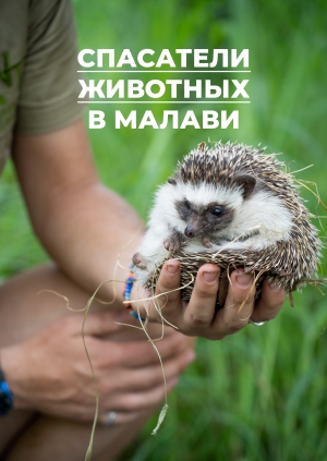 3 выпуск. 2 сезон. Прогулки с панголином