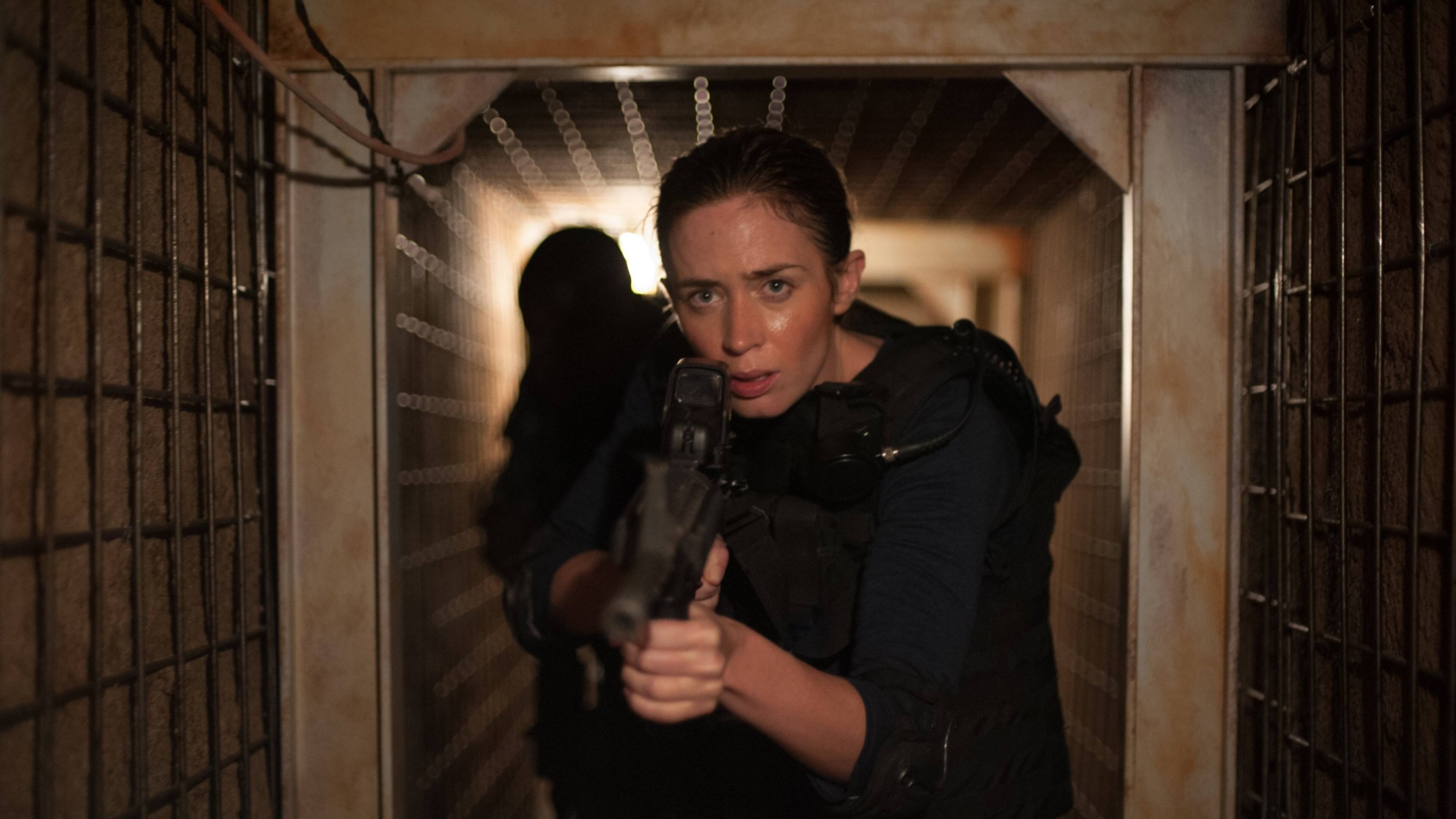 Убийца (Sicario)