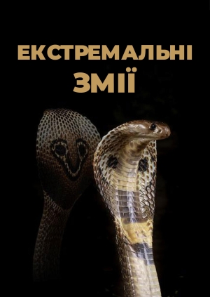 2 випуск. Африка
