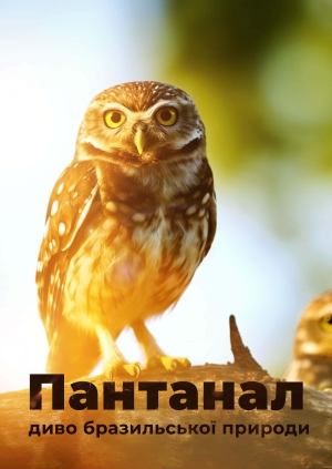Пантанал – диво бразильської природи