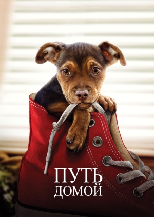 Путь домой (A Dog's Way Home)
