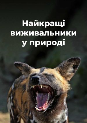 4 випуск. 2 сезон