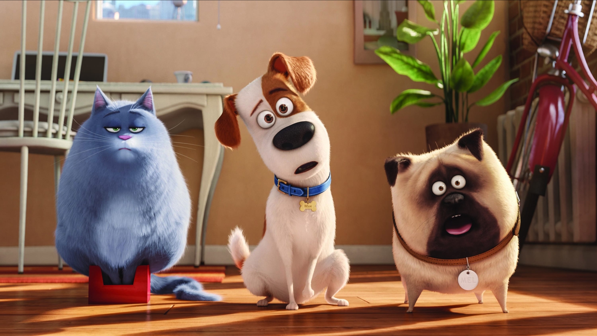 The Secret Life of Pets (The Secret Life of Pets)