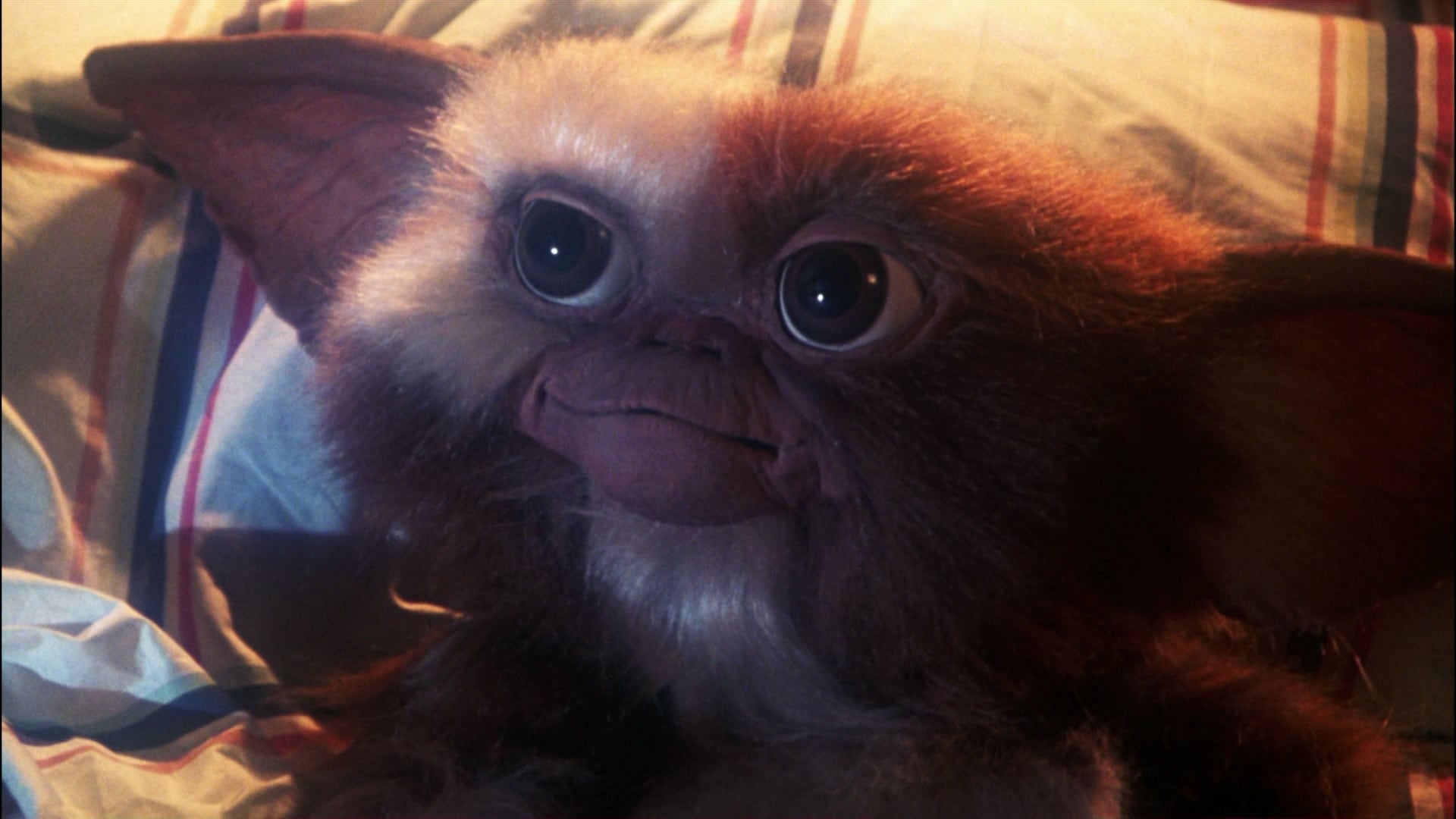Gremlins (Gremlins)