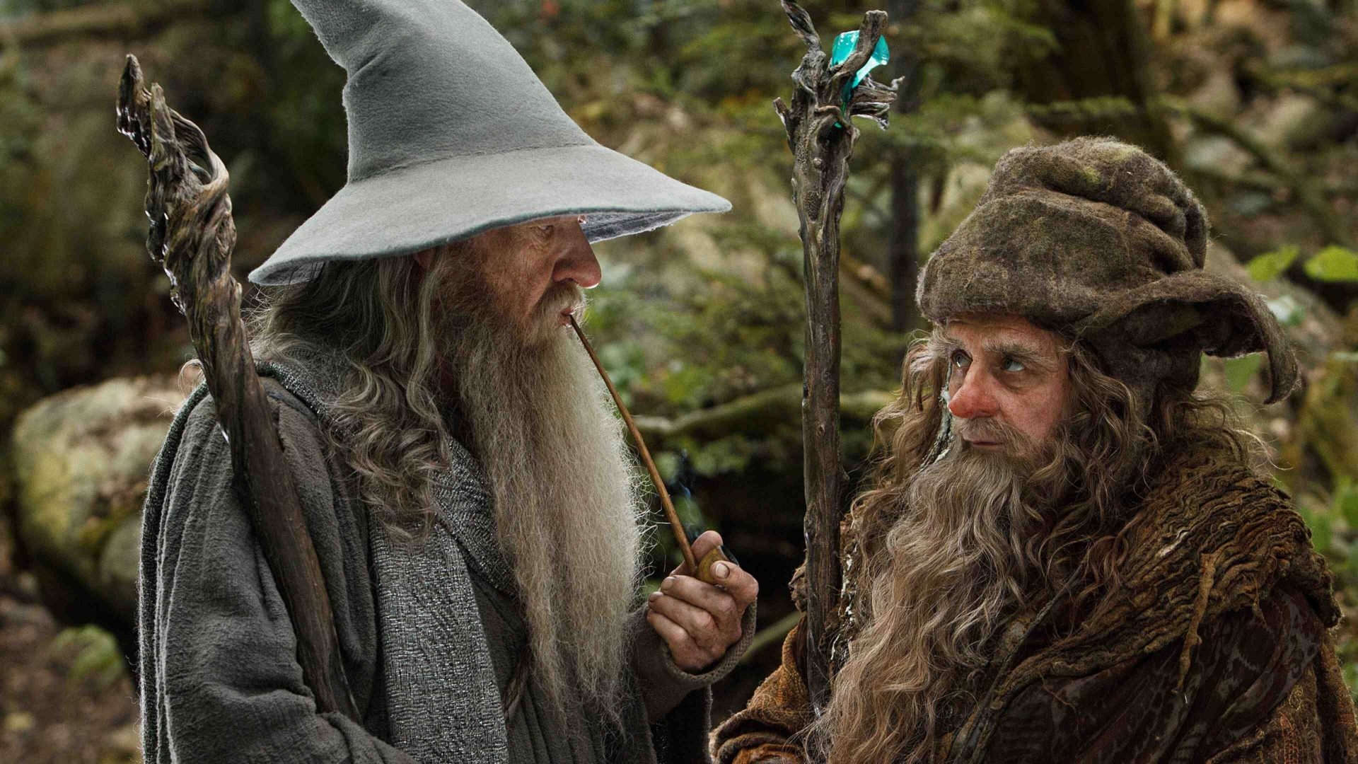 The Hobbit: An Unexpected Journey (The Hobbit: An Unexpected Journey)