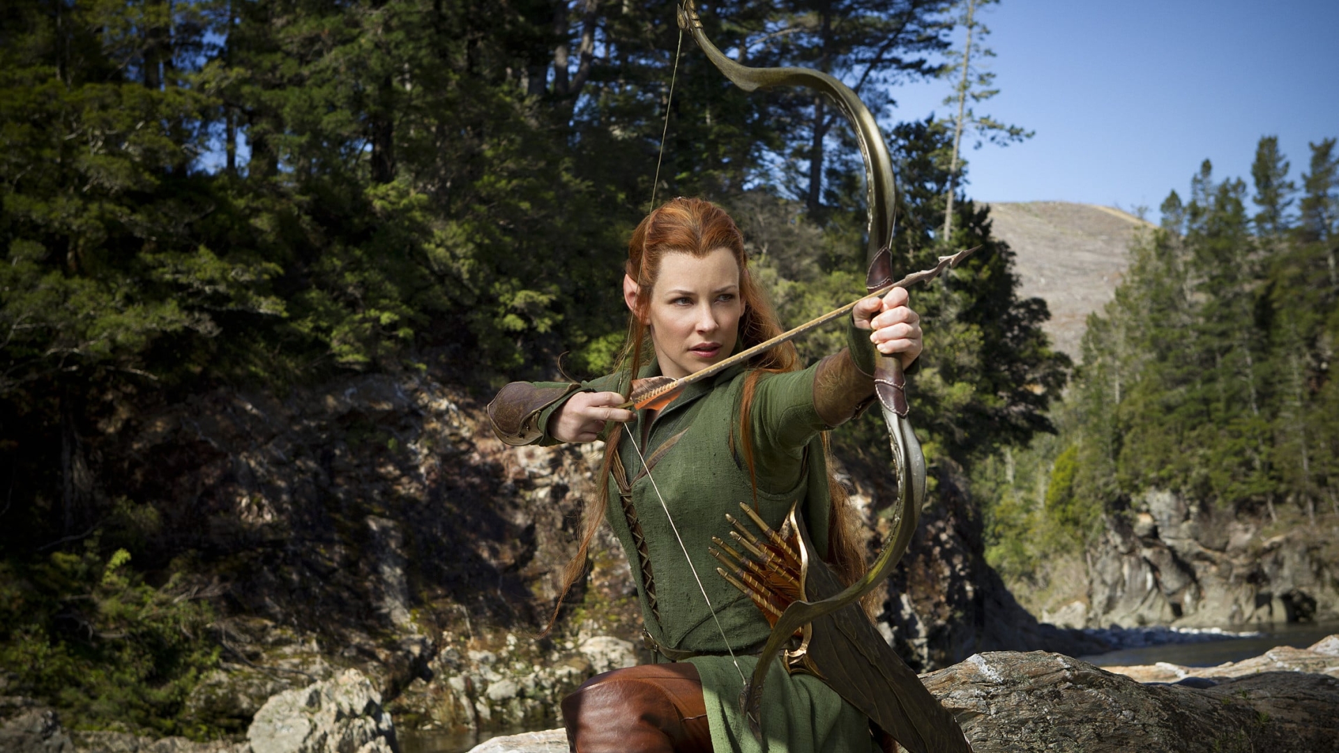 Хоббит: Пустошь Смауга (Hobbit: The Desolation of Smaug)