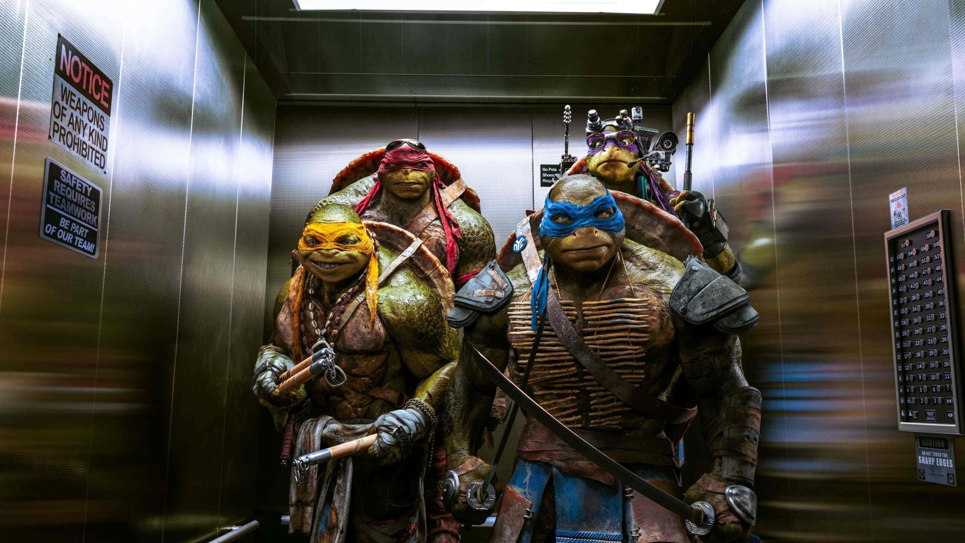 Черепашки-ніндзя (Teenage Mutant Ninja Turtles)