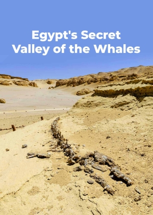 Egypt's Secret Valley of the Whales