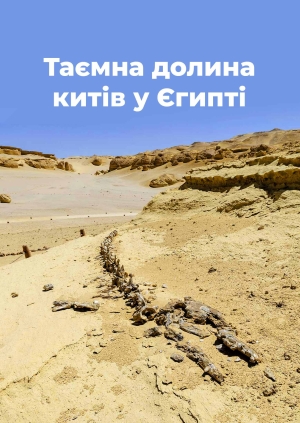 Таємна долина китів у Єгипті