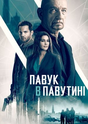 Павук в павутині