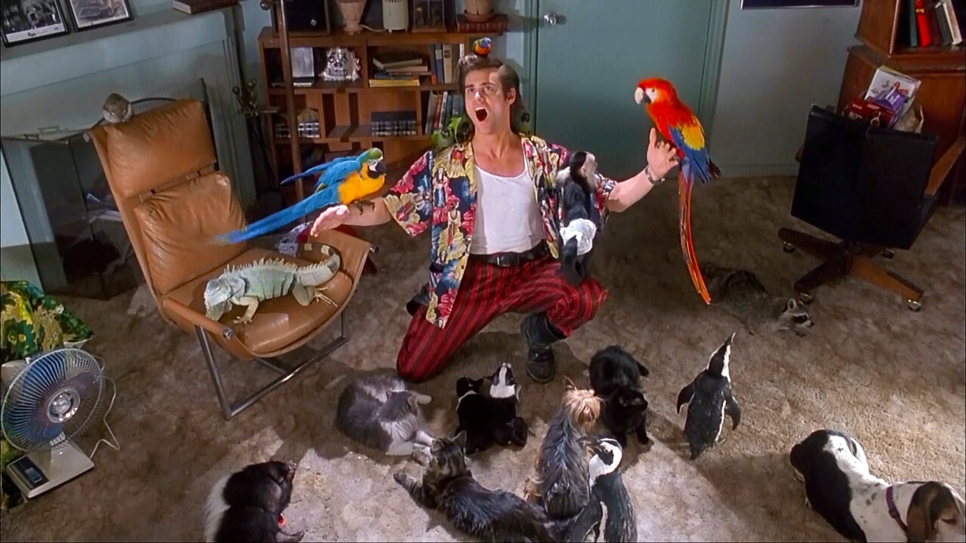 Ейс Вентура: Детектив з розшуку домашніх тварин (Ace Ventura: Pet Detective)