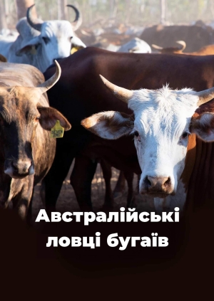 7 випуск. 2 сезон